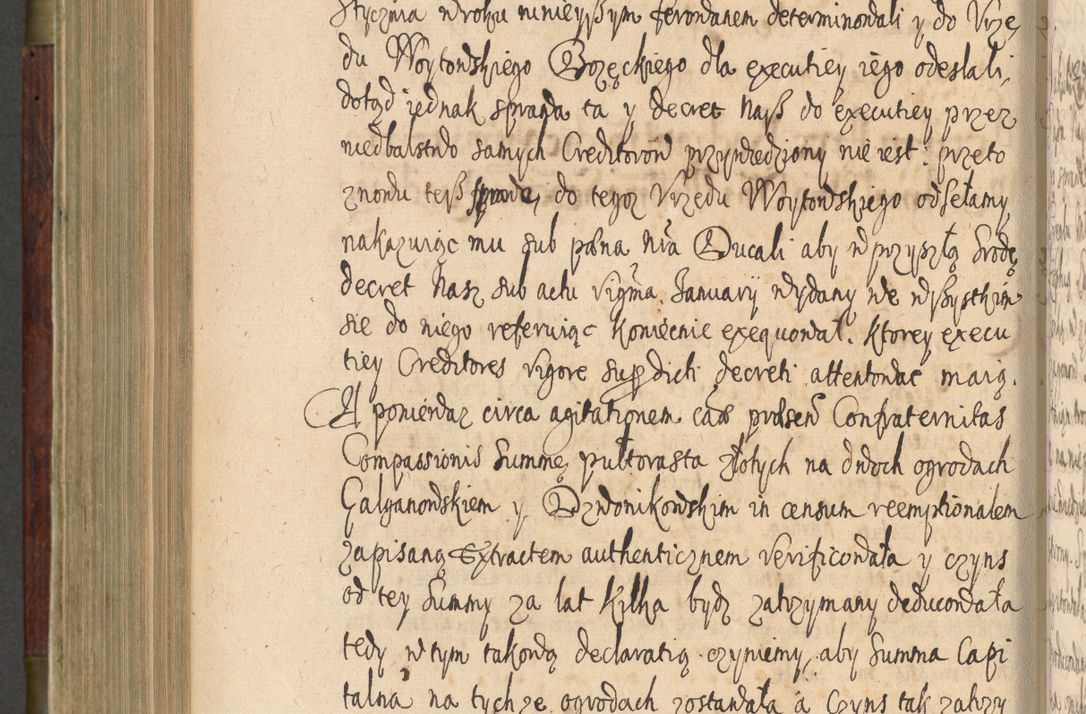 Zdjęcie nr 655 dla obiektu archiwalnego: Volumen IV. Acta saecularia episcopatus Cracoviensis annorum 1636 - 1641, tum et aliquot mensium secundi sub tempus R. D. Jacobi Zadzik, episcopi Cracoviensis, ducis Severiae conscripta