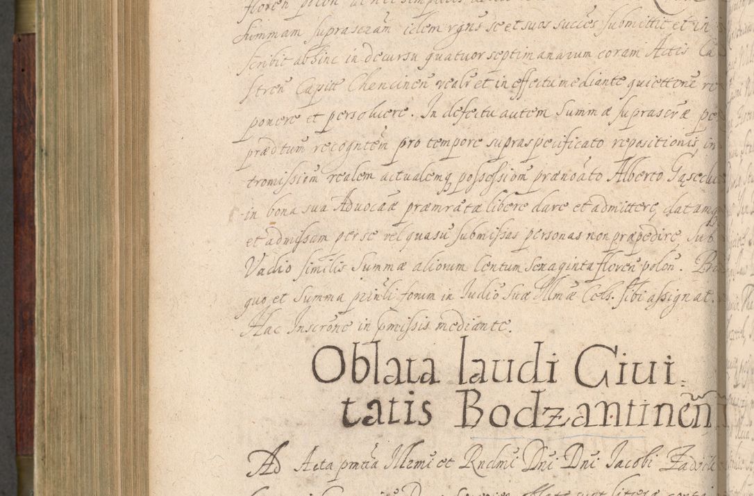 Zdjęcie nr 633 dla obiektu archiwalnego: Volumen IV. Acta saecularia episcopatus Cracoviensis annorum 1636 - 1641, tum et aliquot mensium secundi sub tempus R. D. Jacobi Zadzik, episcopi Cracoviensis, ducis Severiae conscripta