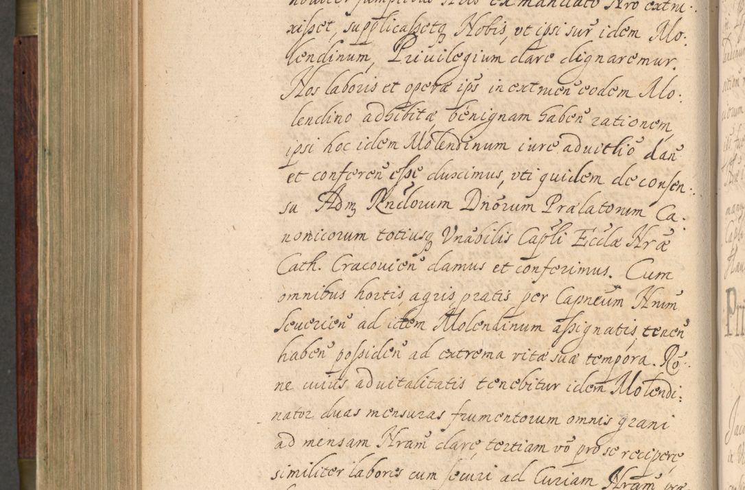 Zdjęcie nr 535 dla obiektu archiwalnego: Volumen IV. Acta saecularia episcopatus Cracoviensis annorum 1636 - 1641, tum et aliquot mensium secundi sub tempus R. D. Jacobi Zadzik, episcopi Cracoviensis, ducis Severiae conscripta