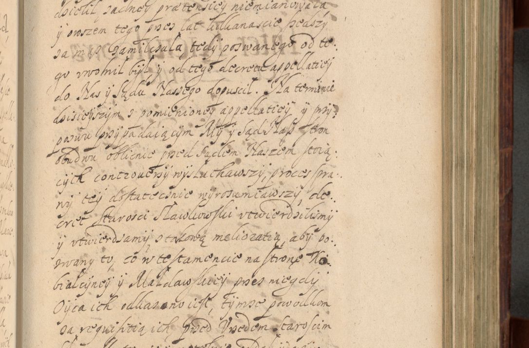 Zdjęcie nr 528 dla obiektu archiwalnego: Volumen IV. Acta saecularia episcopatus Cracoviensis annorum 1636 - 1641, tum et aliquot mensium secundi sub tempus R. D. Jacobi Zadzik, episcopi Cracoviensis, ducis Severiae conscripta