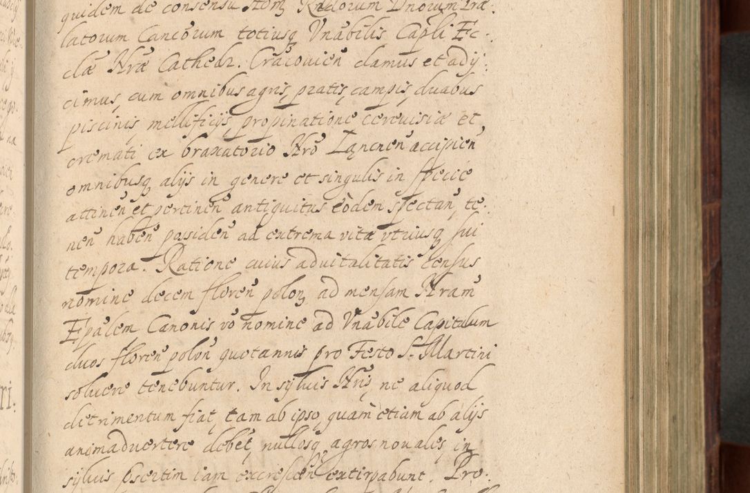 Zdjęcie nr 524 dla obiektu archiwalnego: Volumen IV. Acta saecularia episcopatus Cracoviensis annorum 1636 - 1641, tum et aliquot mensium secundi sub tempus R. D. Jacobi Zadzik, episcopi Cracoviensis, ducis Severiae conscripta