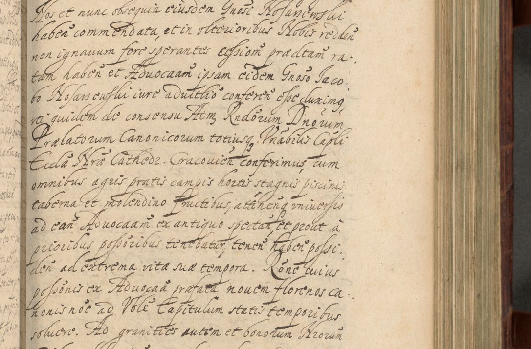 Zdjęcie nr 456 dla obiektu archiwalnego: Volumen IV. Acta saecularia episcopatus Cracoviensis annorum 1636 - 1641, tum et aliquot mensium secundi sub tempus R. D. Jacobi Zadzik, episcopi Cracoviensis, ducis Severiae conscripta