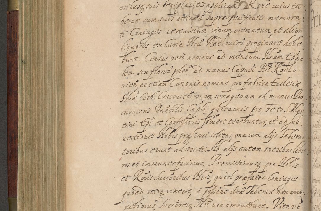Zdjęcie nr 451 dla obiektu archiwalnego: Volumen IV. Acta saecularia episcopatus Cracoviensis annorum 1636 - 1641, tum et aliquot mensium secundi sub tempus R. D. Jacobi Zadzik, episcopi Cracoviensis, ducis Severiae conscripta