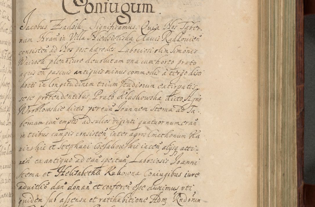 Zdjęcie nr 450 dla obiektu archiwalnego: Volumen IV. Acta saecularia episcopatus Cracoviensis annorum 1636 - 1641, tum et aliquot mensium secundi sub tempus R. D. Jacobi Zadzik, episcopi Cracoviensis, ducis Severiae conscripta