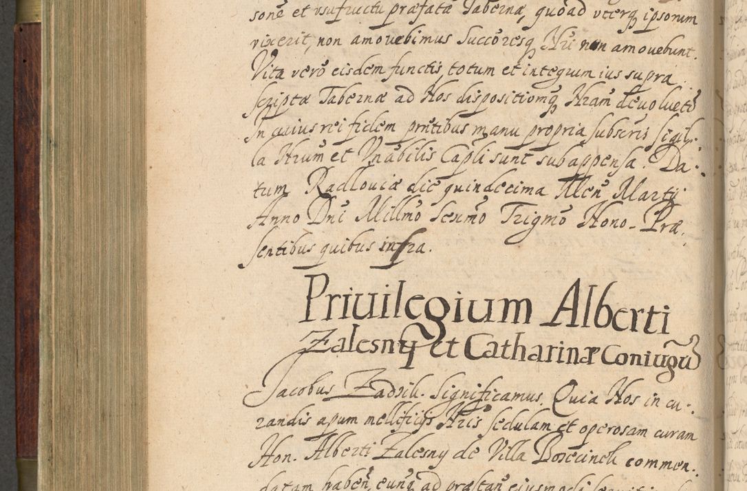 Zdjęcie nr 445 dla obiektu archiwalnego: Volumen IV. Acta saecularia episcopatus Cracoviensis annorum 1636 - 1641, tum et aliquot mensium secundi sub tempus R. D. Jacobi Zadzik, episcopi Cracoviensis, ducis Severiae conscripta