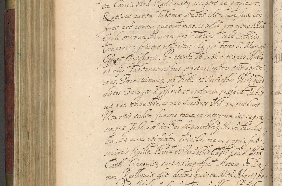 Zdjęcie nr 447 dla obiektu archiwalnego: Volumen IV. Acta saecularia episcopatus Cracoviensis annorum 1636 - 1641, tum et aliquot mensium secundi sub tempus R. D. Jacobi Zadzik, episcopi Cracoviensis, ducis Severiae conscripta
