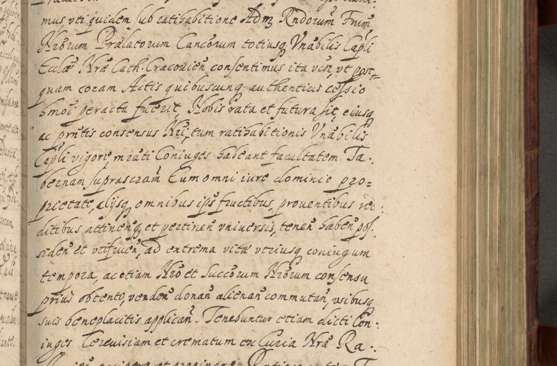 Zdjęcie nr 444 dla obiektu archiwalnego: Volumen IV. Acta saecularia episcopatus Cracoviensis annorum 1636 - 1641, tum et aliquot mensium secundi sub tempus R. D. Jacobi Zadzik, episcopi Cracoviensis, ducis Severiae conscripta