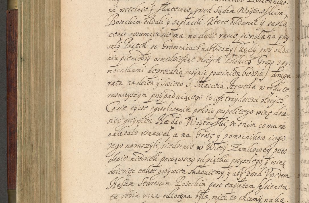 Zdjęcie nr 437 dla obiektu archiwalnego: Volumen IV. Acta saecularia episcopatus Cracoviensis annorum 1636 - 1641, tum et aliquot mensium secundi sub tempus R. D. Jacobi Zadzik, episcopi Cracoviensis, ducis Severiae conscripta