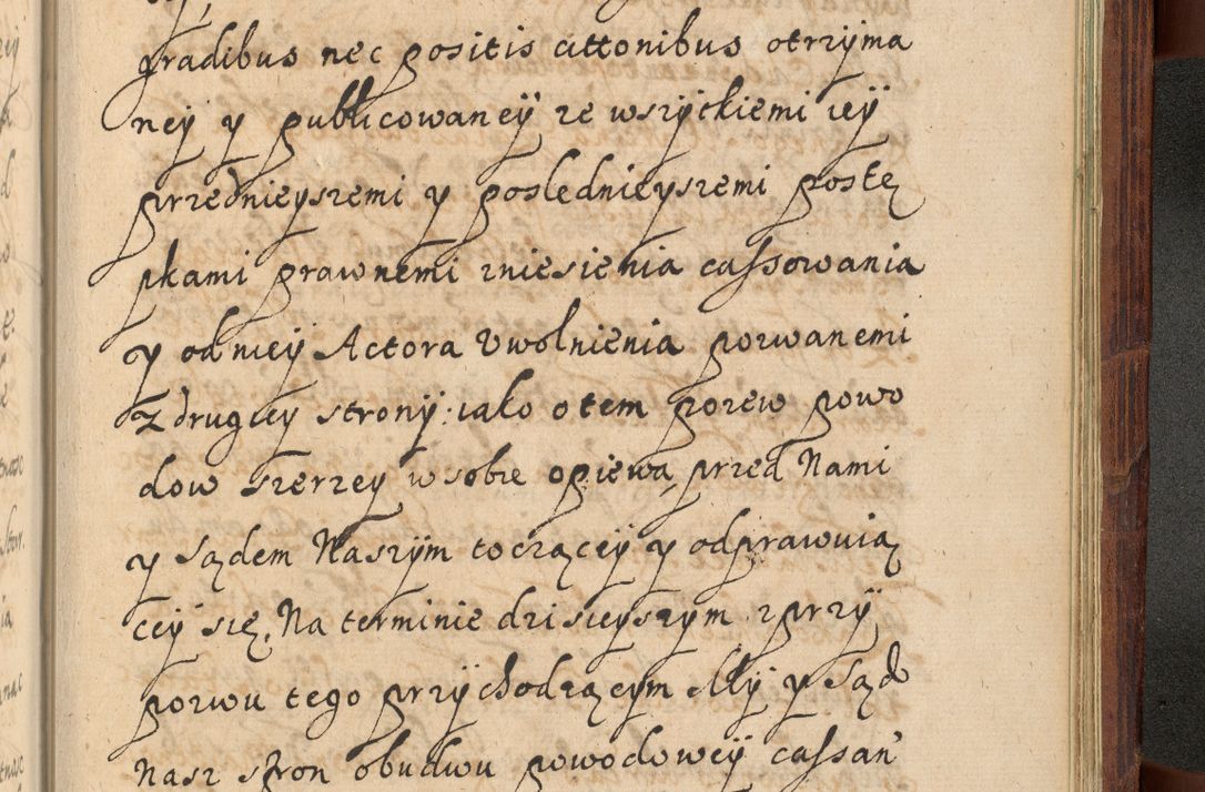 Zdjęcie nr 1304 dla obiektu archiwalnego: Volumen IV. Acta saecularia episcopatus Cracoviensis annorum 1636 - 1641, tum et aliquot mensium secundi sub tempus R. D. Jacobi Zadzik, episcopi Cracoviensis, ducis Severiae conscripta