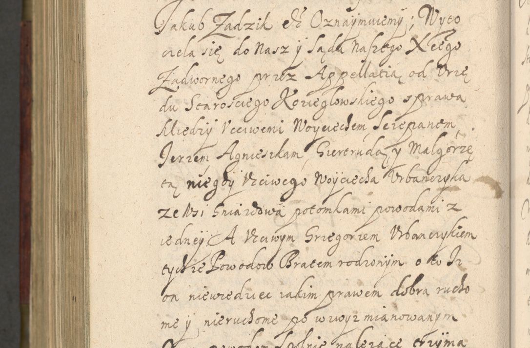 Zdjęcie nr 1291 dla obiektu archiwalnego: Volumen IV. Acta saecularia episcopatus Cracoviensis annorum 1636 - 1641, tum et aliquot mensium secundi sub tempus R. D. Jacobi Zadzik, episcopi Cracoviensis, ducis Severiae conscripta