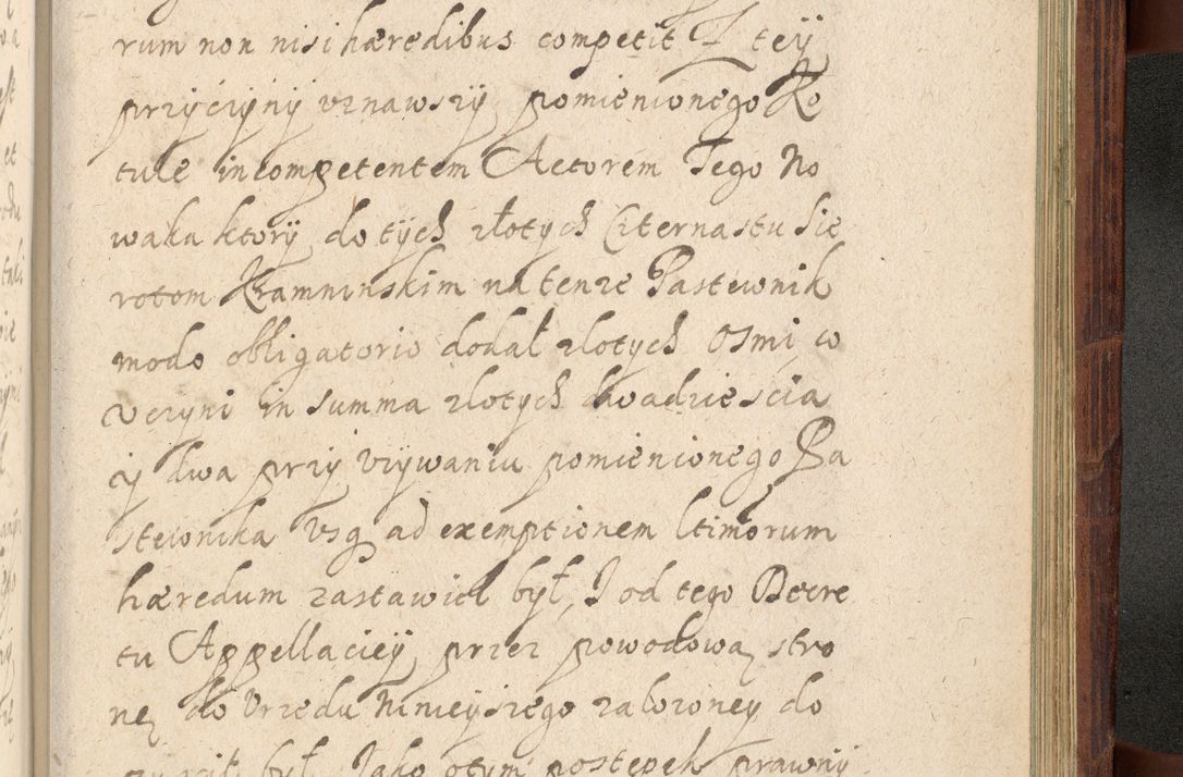 Zdjęcie nr 1282 dla obiektu archiwalnego: Volumen IV. Acta saecularia episcopatus Cracoviensis annorum 1636 - 1641, tum et aliquot mensium secundi sub tempus R. D. Jacobi Zadzik, episcopi Cracoviensis, ducis Severiae conscripta