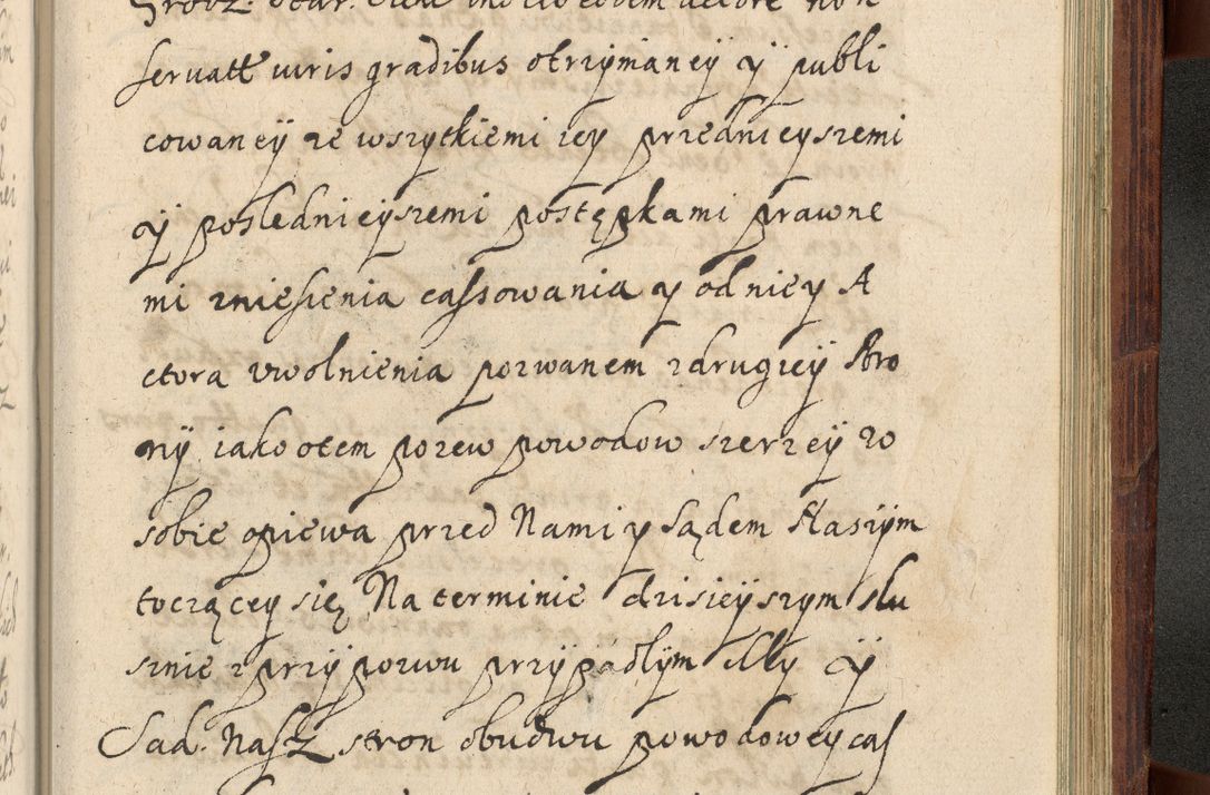Zdjęcie nr 1266 dla obiektu archiwalnego: Volumen IV. Acta saecularia episcopatus Cracoviensis annorum 1636 - 1641, tum et aliquot mensium secundi sub tempus R. D. Jacobi Zadzik, episcopi Cracoviensis, ducis Severiae conscripta
