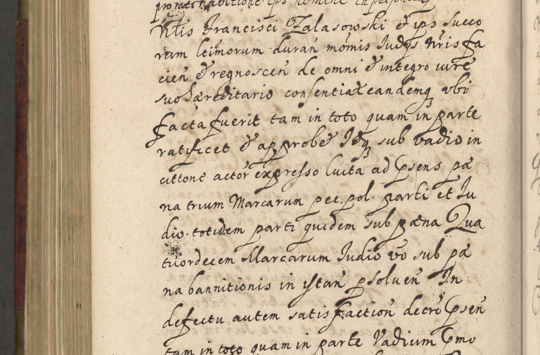Zdjęcie nr 1263 dla obiektu archiwalnego: Volumen IV. Acta saecularia episcopatus Cracoviensis annorum 1636 - 1641, tum et aliquot mensium secundi sub tempus R. D. Jacobi Zadzik, episcopi Cracoviensis, ducis Severiae conscripta