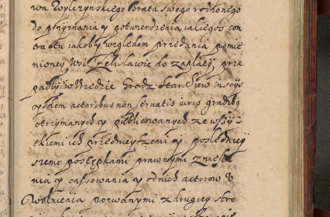 Zdjęcie nr 1260 dla obiektu archiwalnego: Volumen IV. Acta saecularia episcopatus Cracoviensis annorum 1636 - 1641, tum et aliquot mensium secundi sub tempus R. D. Jacobi Zadzik, episcopi Cracoviensis, ducis Severiae conscripta