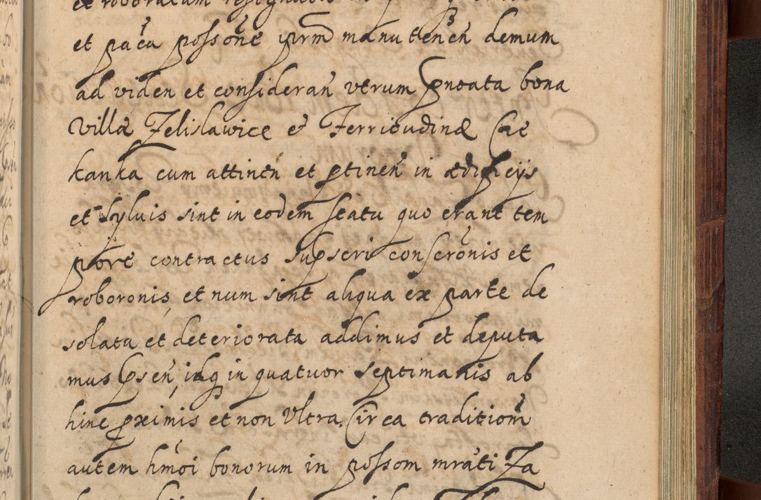Zdjęcie nr 1252 dla obiektu archiwalnego: Volumen IV. Acta saecularia episcopatus Cracoviensis annorum 1636 - 1641, tum et aliquot mensium secundi sub tempus R. D. Jacobi Zadzik, episcopi Cracoviensis, ducis Severiae conscripta