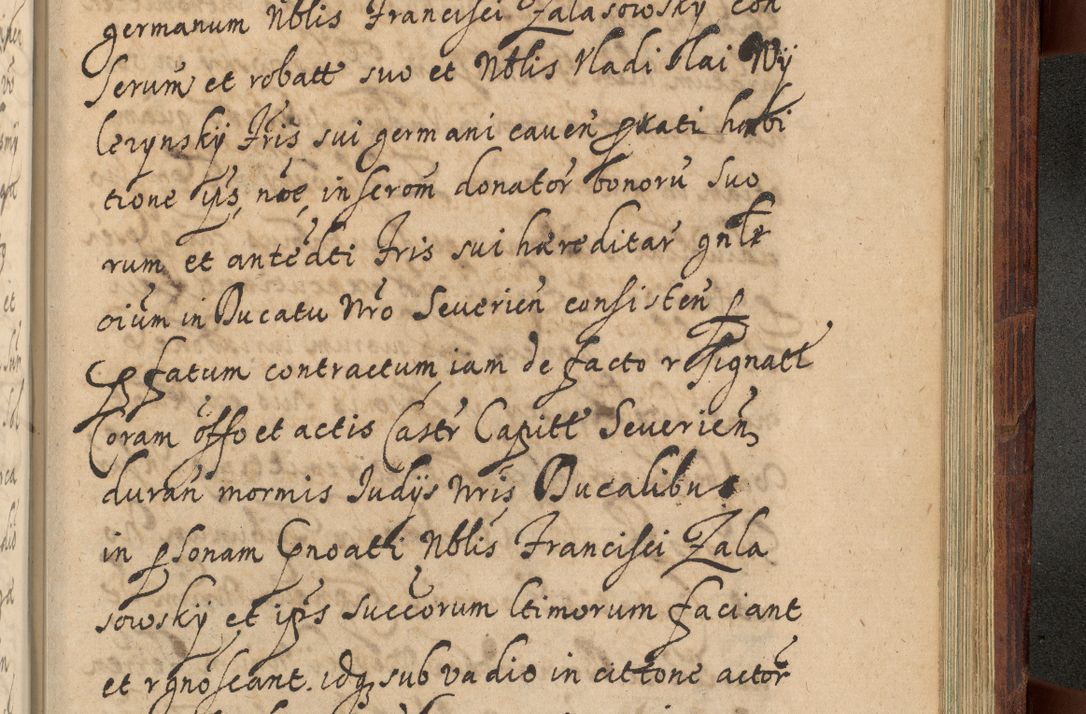 Zdjęcie nr 1250 dla obiektu archiwalnego: Volumen IV. Acta saecularia episcopatus Cracoviensis annorum 1636 - 1641, tum et aliquot mensium secundi sub tempus R. D. Jacobi Zadzik, episcopi Cracoviensis, ducis Severiae conscripta