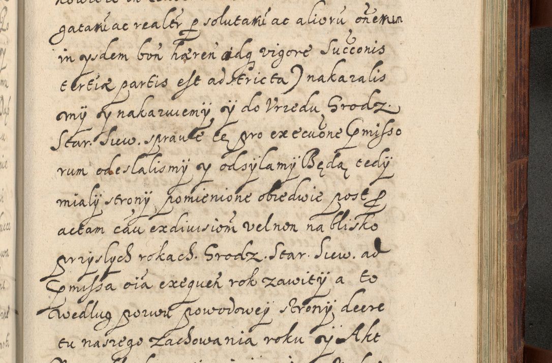 Zdjęcie nr 1246 dla obiektu archiwalnego: Volumen IV. Acta saecularia episcopatus Cracoviensis annorum 1636 - 1641, tum et aliquot mensium secundi sub tempus R. D. Jacobi Zadzik, episcopi Cracoviensis, ducis Severiae conscripta