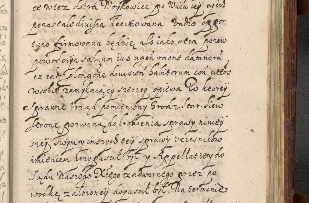 Zdjęcie nr 1244 dla obiektu archiwalnego: Volumen IV. Acta saecularia episcopatus Cracoviensis annorum 1636 - 1641, tum et aliquot mensium secundi sub tempus R. D. Jacobi Zadzik, episcopi Cracoviensis, ducis Severiae conscripta