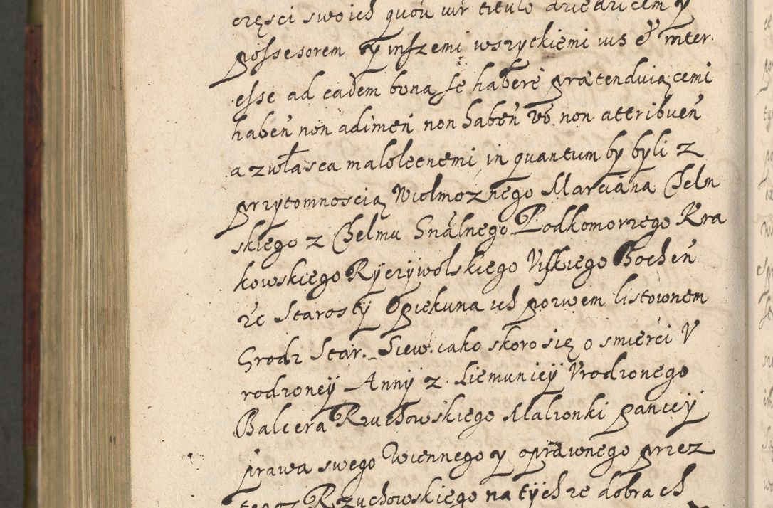 Zdjęcie nr 1243 dla obiektu archiwalnego: Volumen IV. Acta saecularia episcopatus Cracoviensis annorum 1636 - 1641, tum et aliquot mensium secundi sub tempus R. D. Jacobi Zadzik, episcopi Cracoviensis, ducis Severiae conscripta