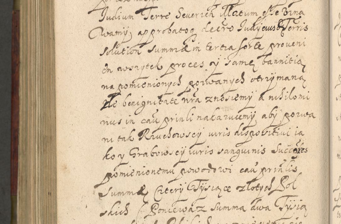 Zdjęcie nr 1239 dla obiektu archiwalnego: Volumen IV. Acta saecularia episcopatus Cracoviensis annorum 1636 - 1641, tum et aliquot mensium secundi sub tempus R. D. Jacobi Zadzik, episcopi Cracoviensis, ducis Severiae conscripta