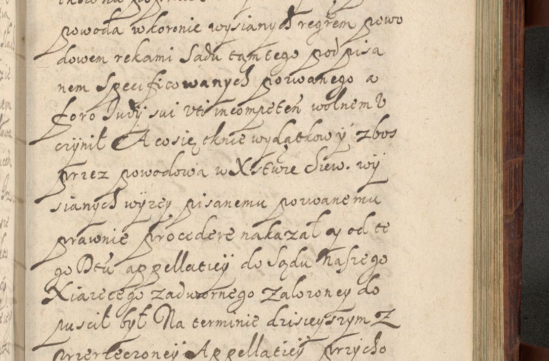 Zdjęcie nr 1230 dla obiektu archiwalnego: Volumen IV. Acta saecularia episcopatus Cracoviensis annorum 1636 - 1641, tum et aliquot mensium secundi sub tempus R. D. Jacobi Zadzik, episcopi Cracoviensis, ducis Severiae conscripta