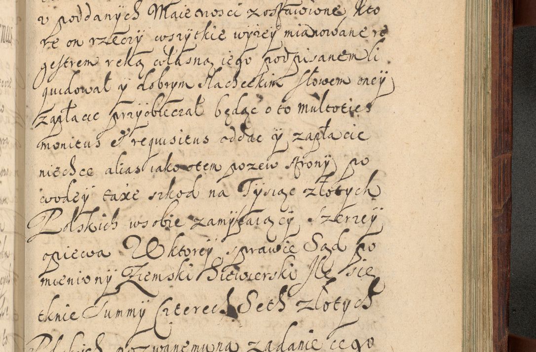 Zdjęcie nr 1226 dla obiektu archiwalnego: Volumen IV. Acta saecularia episcopatus Cracoviensis annorum 1636 - 1641, tum et aliquot mensium secundi sub tempus R. D. Jacobi Zadzik, episcopi Cracoviensis, ducis Severiae conscripta
