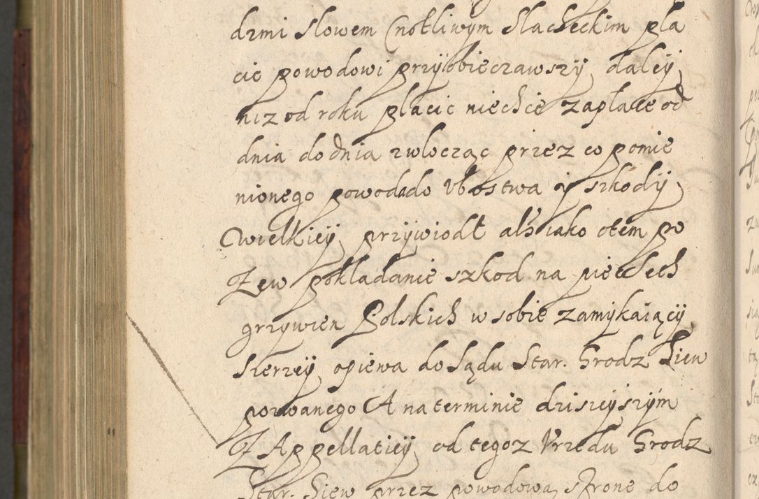Zdjęcie nr 1223 dla obiektu archiwalnego: Volumen IV. Acta saecularia episcopatus Cracoviensis annorum 1636 - 1641, tum et aliquot mensium secundi sub tempus R. D. Jacobi Zadzik, episcopi Cracoviensis, ducis Severiae conscripta