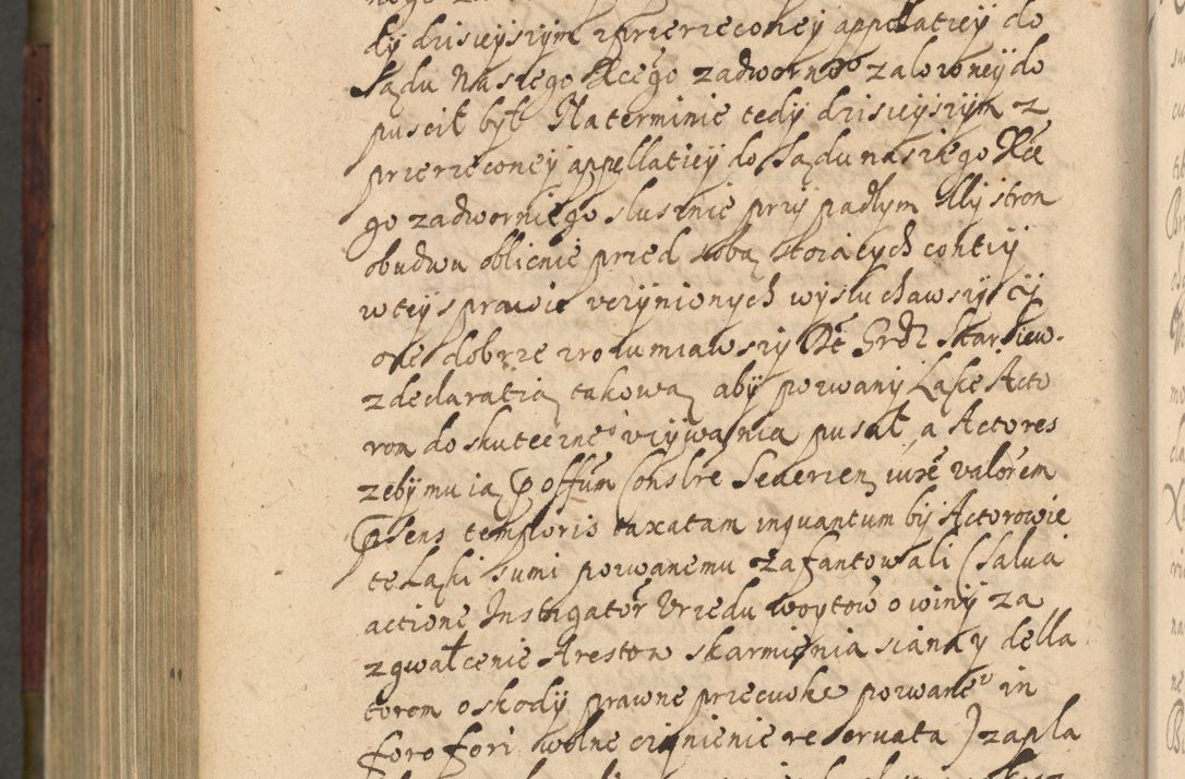 Zdjęcie nr 1217 dla obiektu archiwalnego: Volumen IV. Acta saecularia episcopatus Cracoviensis annorum 1636 - 1641, tum et aliquot mensium secundi sub tempus R. D. Jacobi Zadzik, episcopi Cracoviensis, ducis Severiae conscripta
