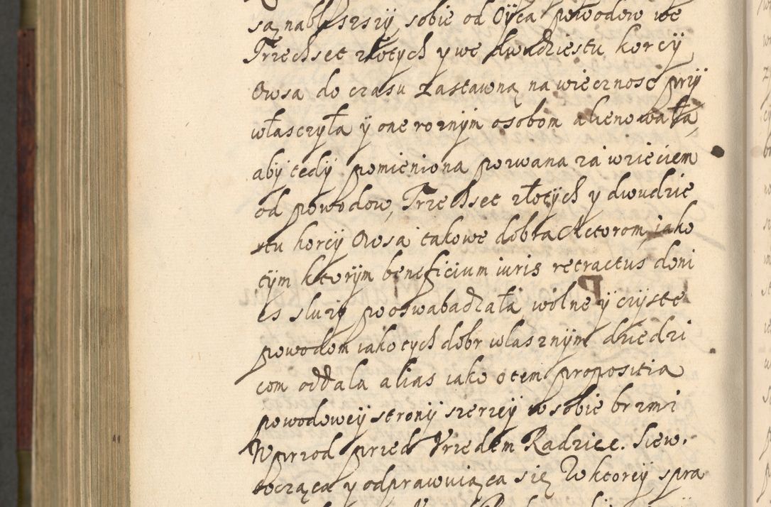 Zdjęcie nr 1207 dla obiektu archiwalnego: Volumen IV. Acta saecularia episcopatus Cracoviensis annorum 1636 - 1641, tum et aliquot mensium secundi sub tempus R. D. Jacobi Zadzik, episcopi Cracoviensis, ducis Severiae conscripta