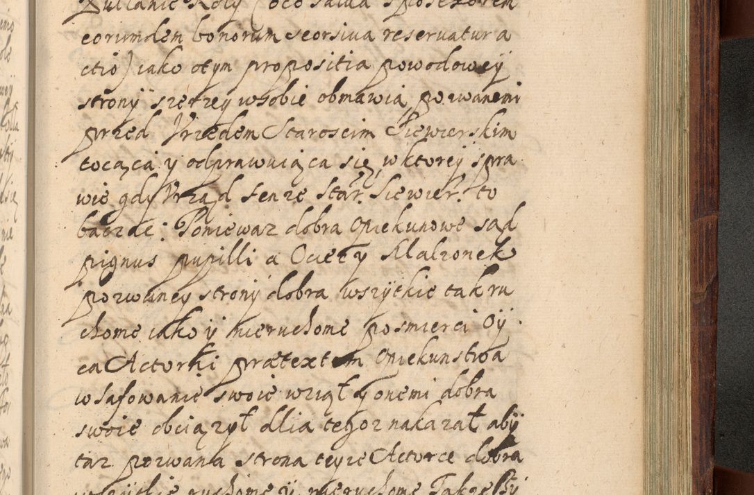 Zdjęcie nr 1202 dla obiektu archiwalnego: Volumen IV. Acta saecularia episcopatus Cracoviensis annorum 1636 - 1641, tum et aliquot mensium secundi sub tempus R. D. Jacobi Zadzik, episcopi Cracoviensis, ducis Severiae conscripta