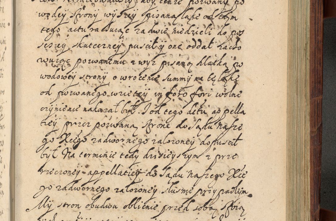 Zdjęcie nr 1186 dla obiektu archiwalnego: Volumen IV. Acta saecularia episcopatus Cracoviensis annorum 1636 - 1641, tum et aliquot mensium secundi sub tempus R. D. Jacobi Zadzik, episcopi Cracoviensis, ducis Severiae conscripta