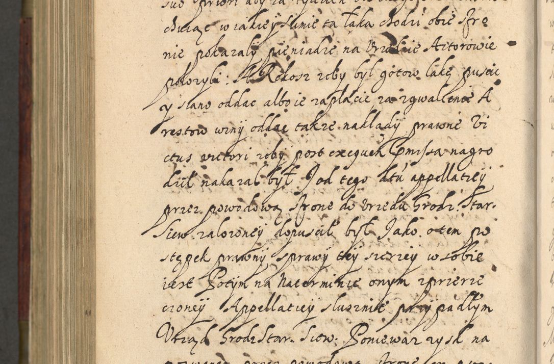 Zdjęcie nr 1185 dla obiektu archiwalnego: Volumen IV. Acta saecularia episcopatus Cracoviensis annorum 1636 - 1641, tum et aliquot mensium secundi sub tempus R. D. Jacobi Zadzik, episcopi Cracoviensis, ducis Severiae conscripta