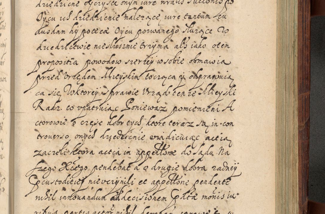 Zdjęcie nr 1182 dla obiektu archiwalnego: Volumen IV. Acta saecularia episcopatus Cracoviensis annorum 1636 - 1641, tum et aliquot mensium secundi sub tempus R. D. Jacobi Zadzik, episcopi Cracoviensis, ducis Severiae conscripta