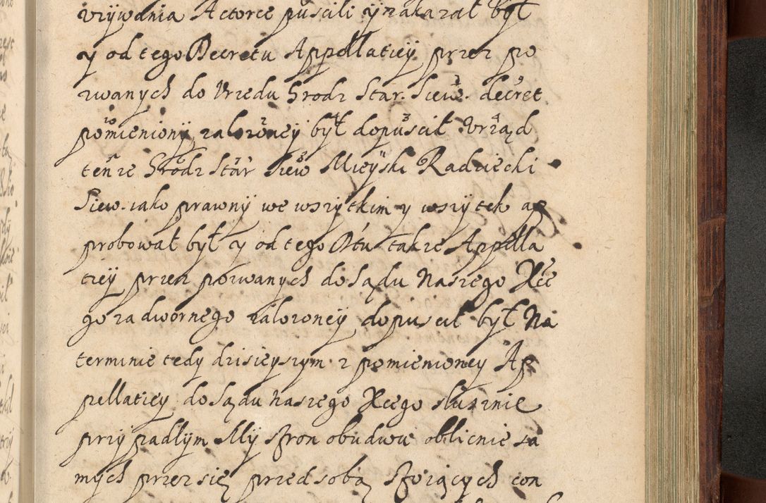Zdjęcie nr 1178 dla obiektu archiwalnego: Volumen IV. Acta saecularia episcopatus Cracoviensis annorum 1636 - 1641, tum et aliquot mensium secundi sub tempus R. D. Jacobi Zadzik, episcopi Cracoviensis, ducis Severiae conscripta