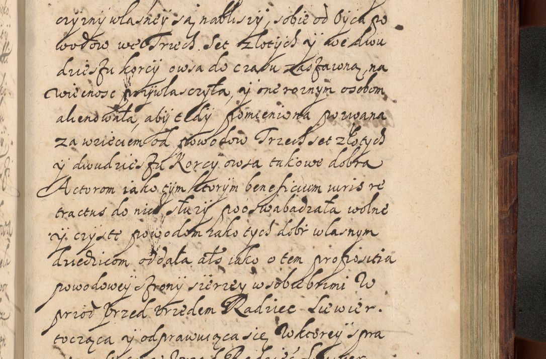 Zdjęcie nr 1174 dla obiektu archiwalnego: Volumen IV. Acta saecularia episcopatus Cracoviensis annorum 1636 - 1641, tum et aliquot mensium secundi sub tempus R. D. Jacobi Zadzik, episcopi Cracoviensis, ducis Severiae conscripta