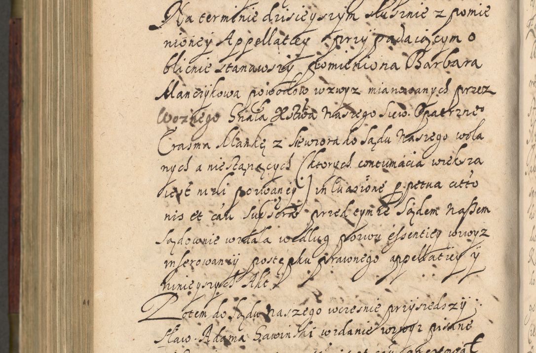 Zdjęcie nr 1175 dla obiektu archiwalnego: Volumen IV. Acta saecularia episcopatus Cracoviensis annorum 1636 - 1641, tum et aliquot mensium secundi sub tempus R. D. Jacobi Zadzik, episcopi Cracoviensis, ducis Severiae conscripta