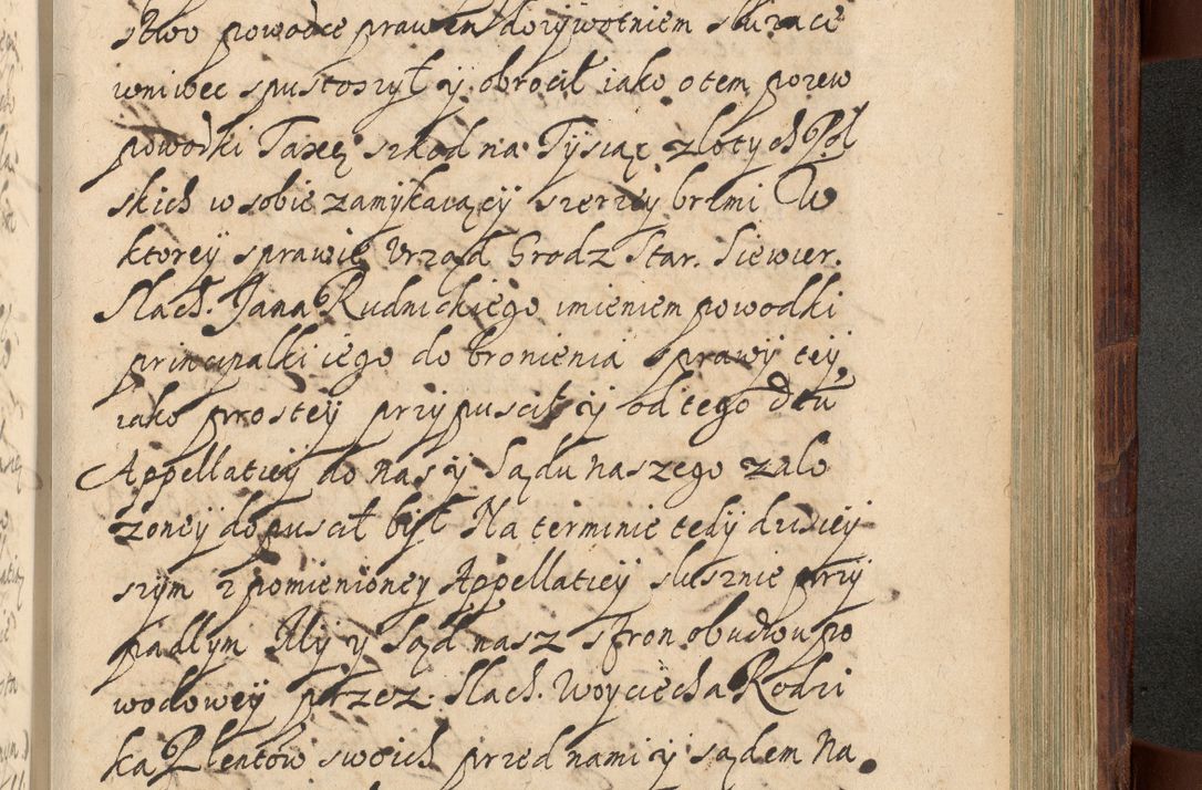 Zdjęcie nr 1172 dla obiektu archiwalnego: Volumen IV. Acta saecularia episcopatus Cracoviensis annorum 1636 - 1641, tum et aliquot mensium secundi sub tempus R. D. Jacobi Zadzik, episcopi Cracoviensis, ducis Severiae conscripta