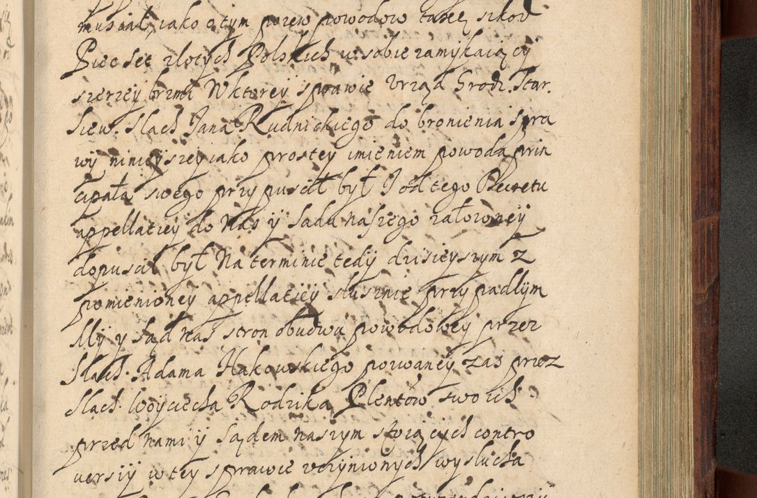 Zdjęcie nr 1168 dla obiektu archiwalnego: Volumen IV. Acta saecularia episcopatus Cracoviensis annorum 1636 - 1641, tum et aliquot mensium secundi sub tempus R. D. Jacobi Zadzik, episcopi Cracoviensis, ducis Severiae conscripta