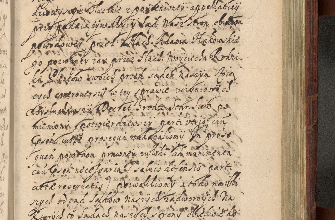Zdjęcie nr 1166 dla obiektu archiwalnego: Volumen IV. Acta saecularia episcopatus Cracoviensis annorum 1636 - 1641, tum et aliquot mensium secundi sub tempus R. D. Jacobi Zadzik, episcopi Cracoviensis, ducis Severiae conscripta
