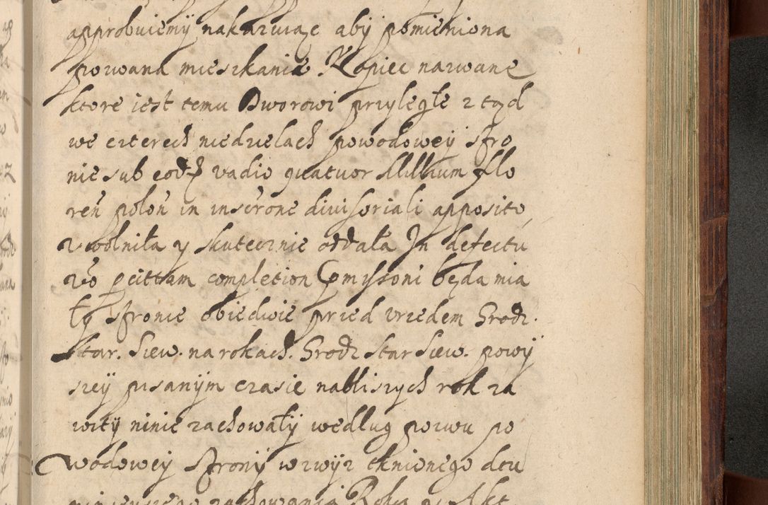 Zdjęcie nr 1164 dla obiektu archiwalnego: Volumen IV. Acta saecularia episcopatus Cracoviensis annorum 1636 - 1641, tum et aliquot mensium secundi sub tempus R. D. Jacobi Zadzik, episcopi Cracoviensis, ducis Severiae conscripta
