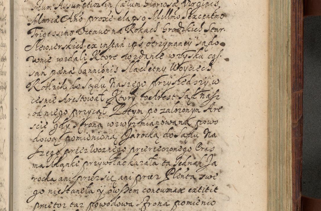 Zdjęcie nr 1146 dla obiektu archiwalnego: Volumen IV. Acta saecularia episcopatus Cracoviensis annorum 1636 - 1641, tum et aliquot mensium secundi sub tempus R. D. Jacobi Zadzik, episcopi Cracoviensis, ducis Severiae conscripta