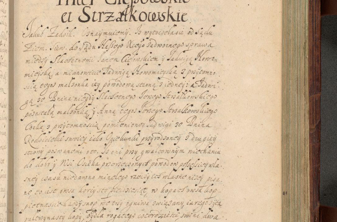 Zdjęcie nr 1074 dla obiektu archiwalnego: Volumen IV. Acta saecularia episcopatus Cracoviensis annorum 1636 - 1641, tum et aliquot mensium secundi sub tempus R. D. Jacobi Zadzik, episcopi Cracoviensis, ducis Severiae conscripta