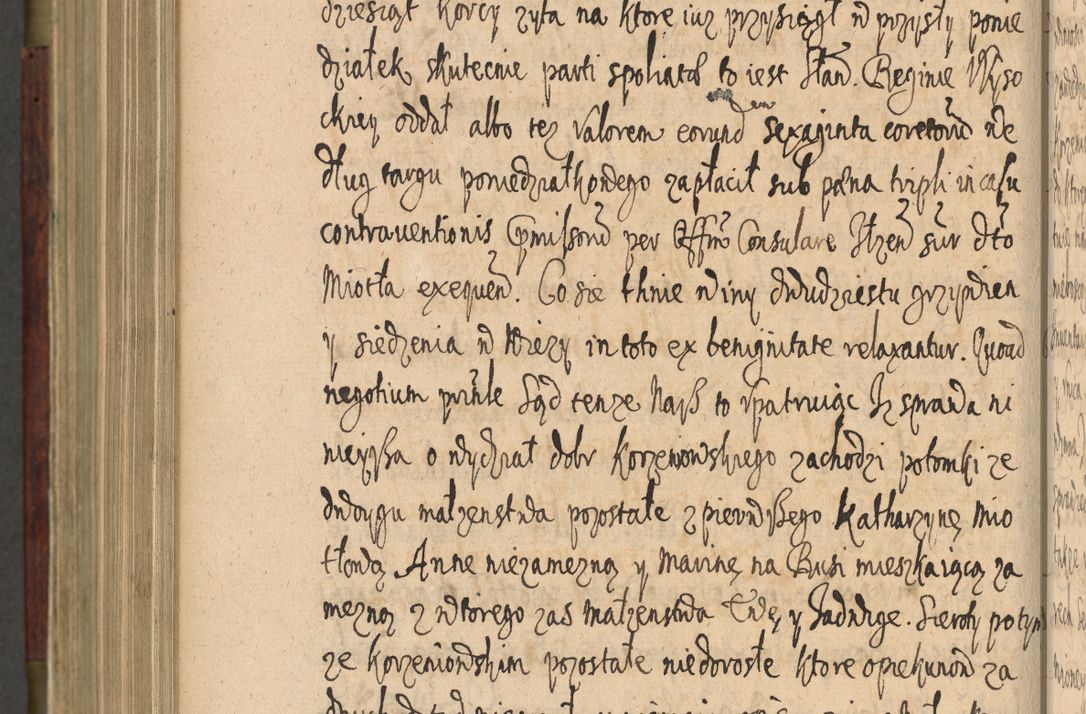 Zdjęcie nr 899 dla obiektu archiwalnego: Volumen IV. Acta saecularia episcopatus Cracoviensis annorum 1636 - 1641, tum et aliquot mensium secundi sub tempus R. D. Jacobi Zadzik, episcopi Cracoviensis, ducis Severiae conscripta