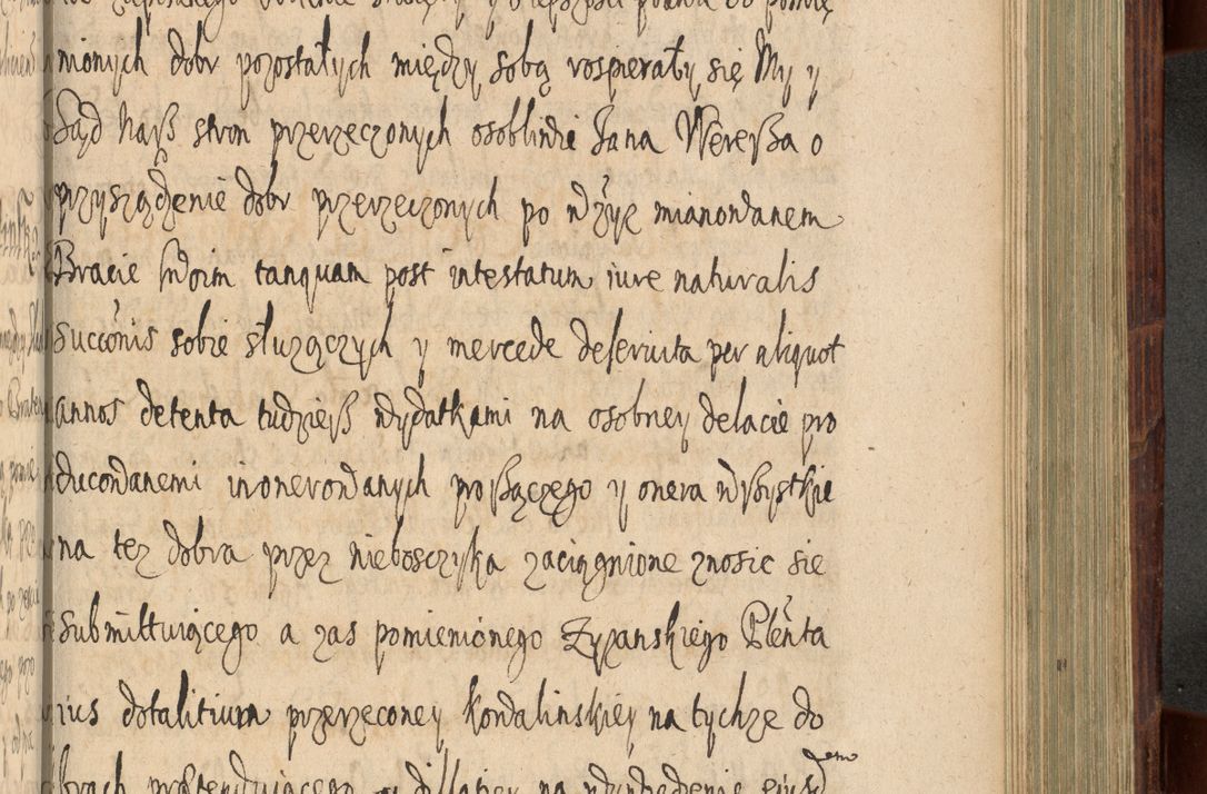 Zdjęcie nr 896 dla obiektu archiwalnego: Volumen IV. Acta saecularia episcopatus Cracoviensis annorum 1636 - 1641, tum et aliquot mensium secundi sub tempus R. D. Jacobi Zadzik, episcopi Cracoviensis, ducis Severiae conscripta