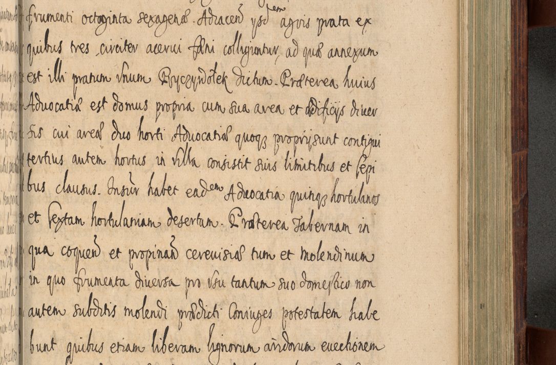 Zdjęcie nr 884 dla obiektu archiwalnego: Volumen IV. Acta saecularia episcopatus Cracoviensis annorum 1636 - 1641, tum et aliquot mensium secundi sub tempus R. D. Jacobi Zadzik, episcopi Cracoviensis, ducis Severiae conscripta