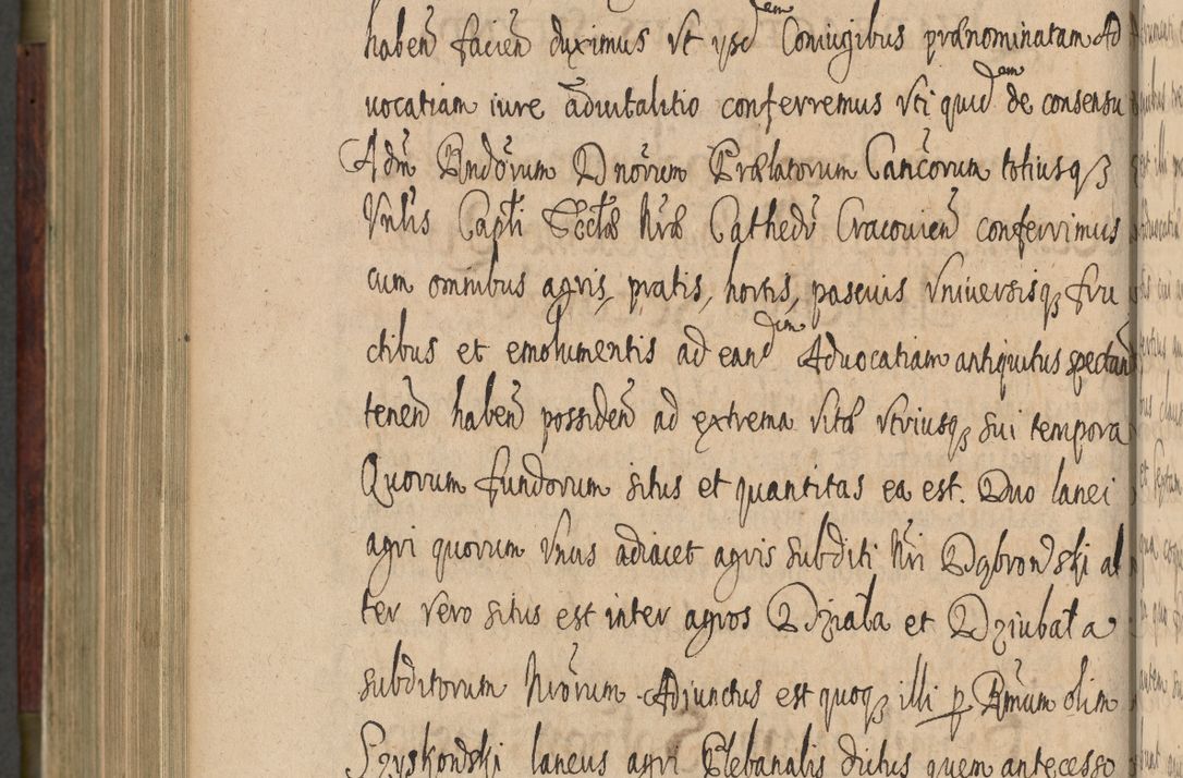Zdjęcie nr 883 dla obiektu archiwalnego: Volumen IV. Acta saecularia episcopatus Cracoviensis annorum 1636 - 1641, tum et aliquot mensium secundi sub tempus R. D. Jacobi Zadzik, episcopi Cracoviensis, ducis Severiae conscripta