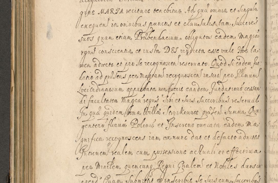 Zdjęcie nr 337 dla obiektu archiwalnego: Volumen II actorum episcopalium R. D. Petri Gembicki, episcopi Cracoviensis, locum tenente in dioecesi R. D. Alberto Lipnicki, canonico Cracoviensi post discessum R. D. Episcopi in Italiam et usque ad redditum eiusdem in Poloniam, videlicet a die 16 Novembris 1644 et per a. D. 1645 inchoative ad Septembrem. Horum videatur index ad finem huius voluminis