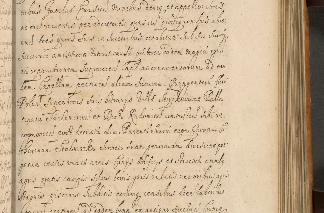 Zdjęcie nr 332 dla obiektu archiwalnego: Volumen II actorum episcopalium R. D. Petri Gembicki, episcopi Cracoviensis, locum tenente in dioecesi R. D. Alberto Lipnicki, canonico Cracoviensi post discessum R. D. Episcopi in Italiam et usque ad redditum eiusdem in Poloniam, videlicet a die 16 Novembris 1644 et per a. D. 1645 inchoative ad Septembrem. Horum videatur index ad finem huius voluminis