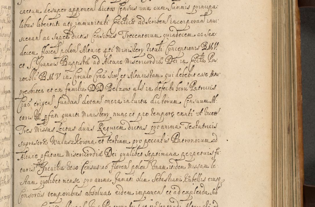 Zdjęcie nr 316 dla obiektu archiwalnego: Volumen II actorum episcopalium R. D. Petri Gembicki, episcopi Cracoviensis, locum tenente in dioecesi R. D. Alberto Lipnicki, canonico Cracoviensi post discessum R. D. Episcopi in Italiam et usque ad redditum eiusdem in Poloniam, videlicet a die 16 Novembris 1644 et per a. D. 1645 inchoative ad Septembrem. Horum videatur index ad finem huius voluminis