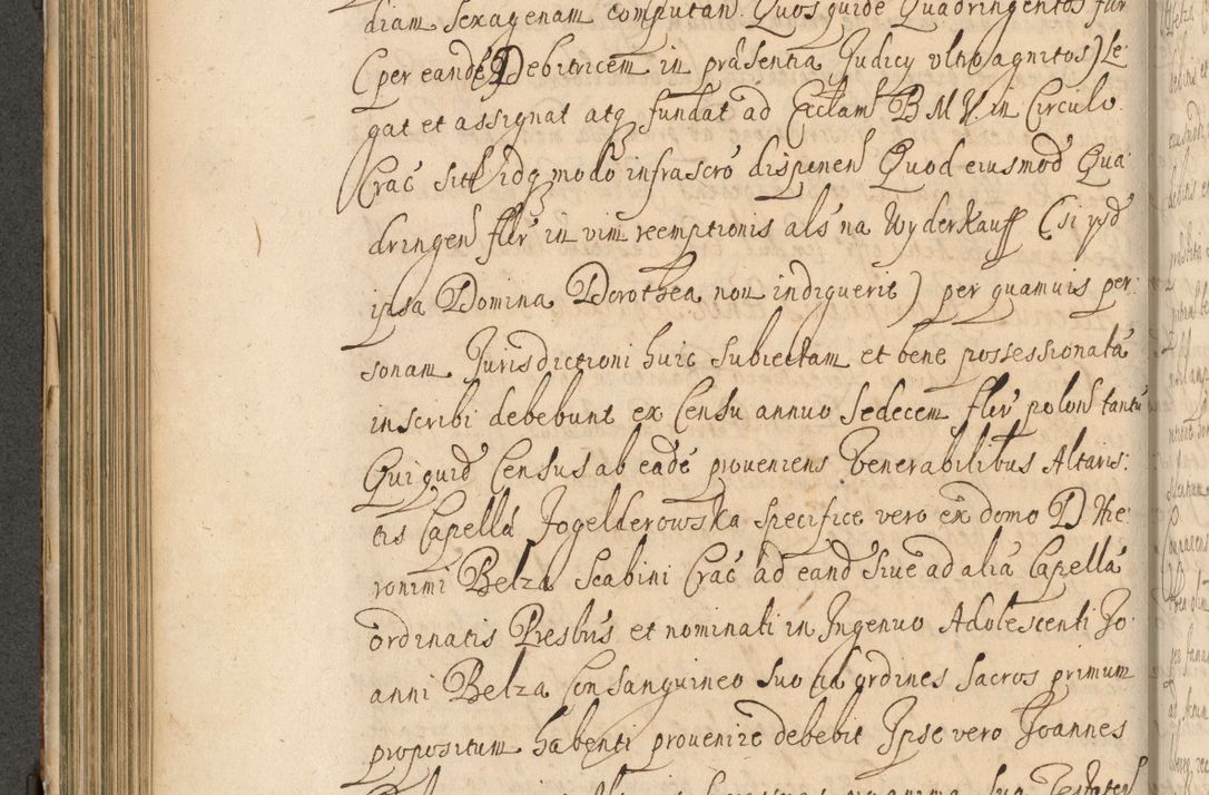 Zdjęcie nr 313 dla obiektu archiwalnego: Volumen II actorum episcopalium R. D. Petri Gembicki, episcopi Cracoviensis, locum tenente in dioecesi R. D. Alberto Lipnicki, canonico Cracoviensi post discessum R. D. Episcopi in Italiam et usque ad redditum eiusdem in Poloniam, videlicet a die 16 Novembris 1644 et per a. D. 1645 inchoative ad Septembrem. Horum videatur index ad finem huius voluminis